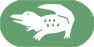 Caiman Icon